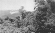 Terrain on Bougainville