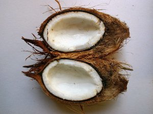 Photograph of split coconut