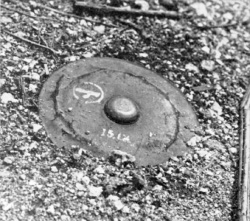 Photograph of Japanese Type 93 mine on Tinian