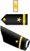 U.S. Navy ensign insignia