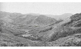 Photograph of New Caledonia hill terrain