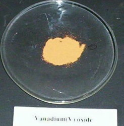 Photograph of vanadium oxide powder