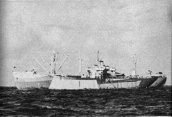 Photograph of Acubens-class stores issue ship