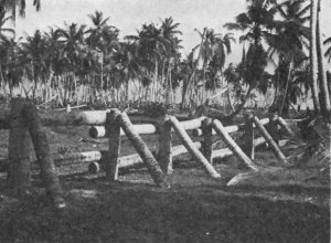 Photograph
                  of Japanese antitank barrier