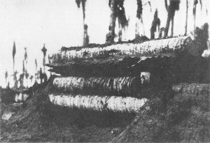 Photograph of Japanese coconut log pillbox