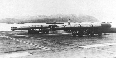 Photograph of Type 91 torpedoes