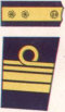 Japanese Navy vice admiral
              insignia
